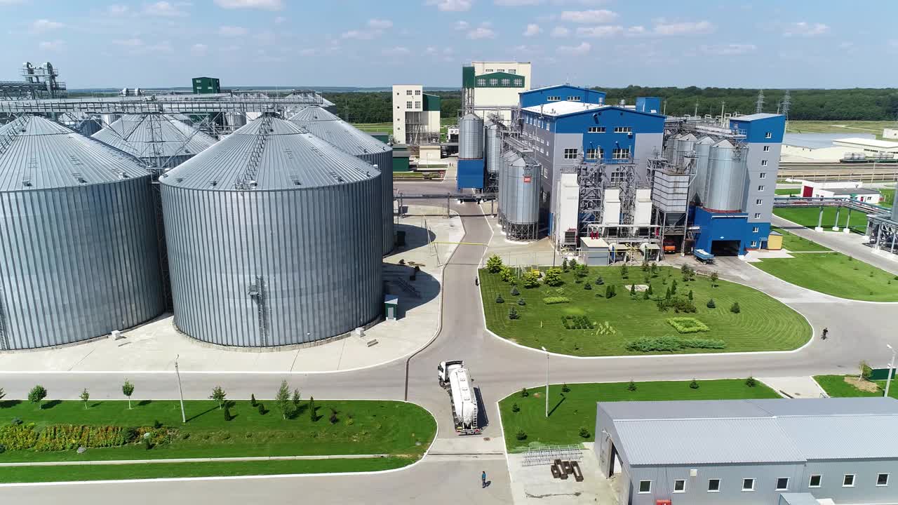 饲料素材 从原料到营养，全面解析现代畜牧业的基础